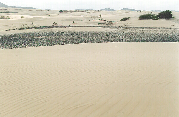 Capoverde090.JPG - Il deserto di Viana