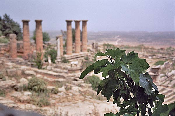 Cirene_TempioApollo3.jpg - Il Tempio di Apollo