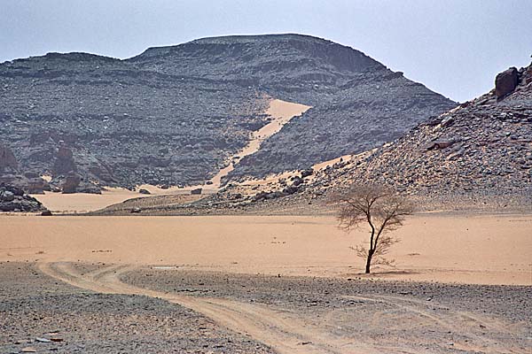 JebelAcacus_Panorama10.jpg - Panorami verso il Wadi Tashwinat