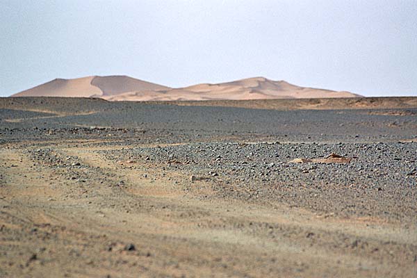 JebelAcacus_Panorama3.jpg - In lontananza il profilo delle Dune di Iguidi Ouan Kasa