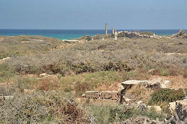 LeptisMagna_AnticoForo.jpg - Il porto