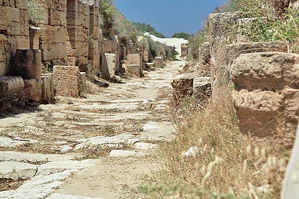 LeptisMagna_IlCardo.jpg - Il Cardo