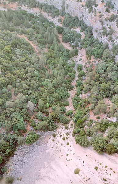 © Mario Ugo Morescalchi - Gole sul Wadi Al-Kuf, seleziona per ingrandire