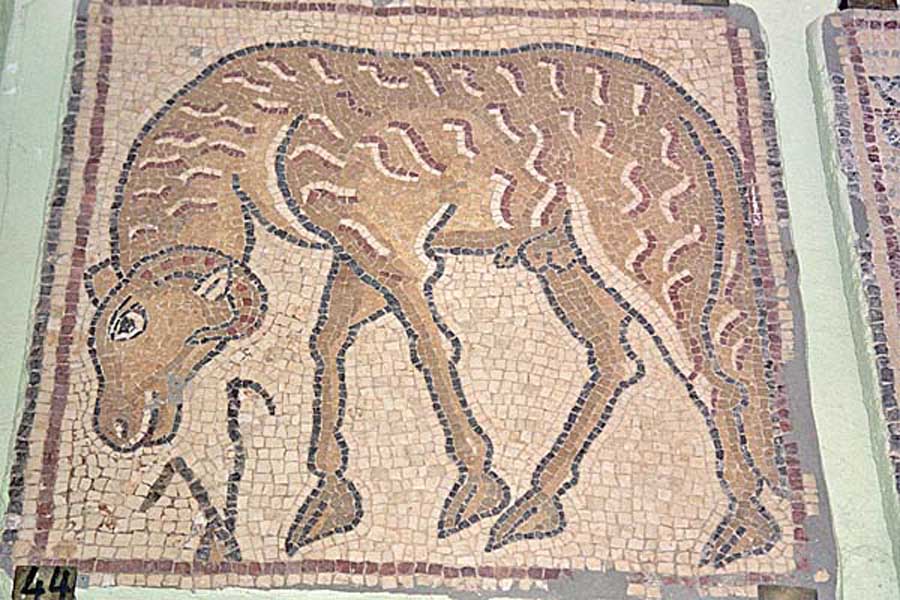 QsarLibia_MosaiciBizantini2.jpg - Mosaici Bizantini, un ariete