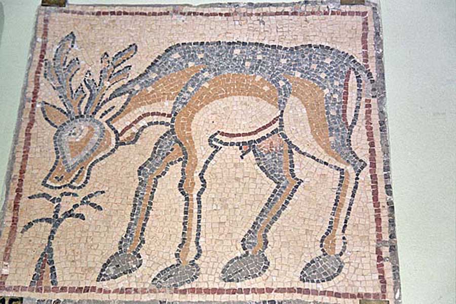 QsarLibia_MosaiciBizantini7.jpg - Mosaici Bizantini, un cervo