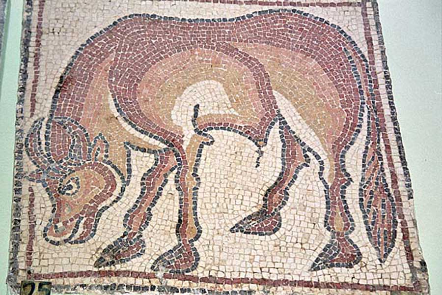 QsarLibia_MosaiciBizantini8.jpg - Mosaici Bizantini, un toro