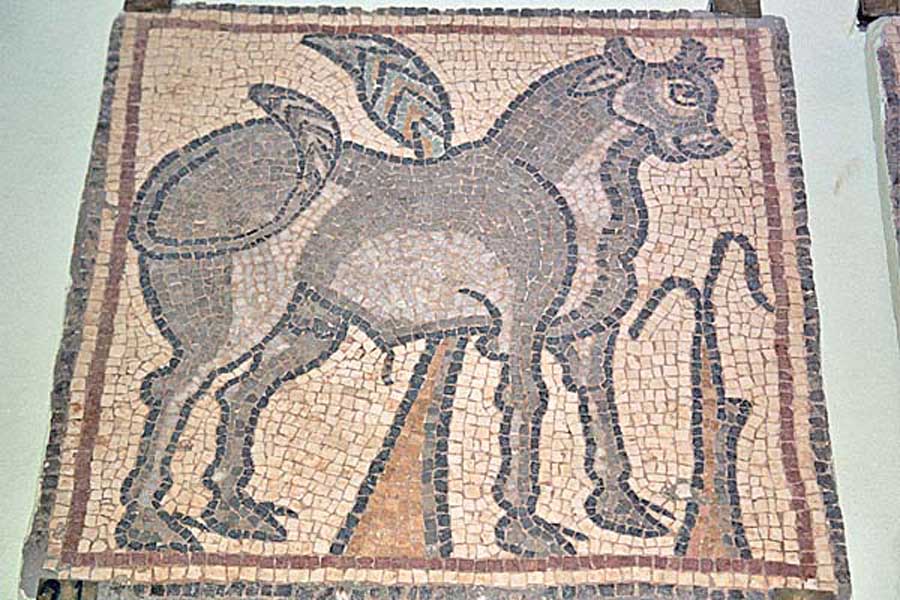 QsarLibia_MosaiciBizantini9.jpg - Mosaici Bizantini, un toro