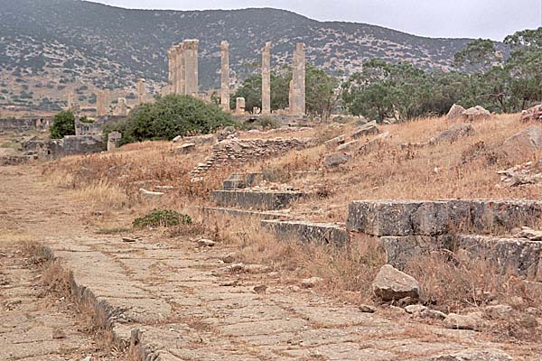 Tolmeita_VilladelleColonne5.jpg - Antica strada romana