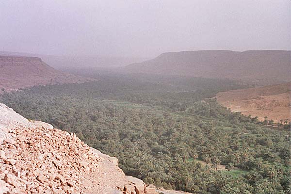 Marocco255.jpg - Il grande palmento di Aufouss