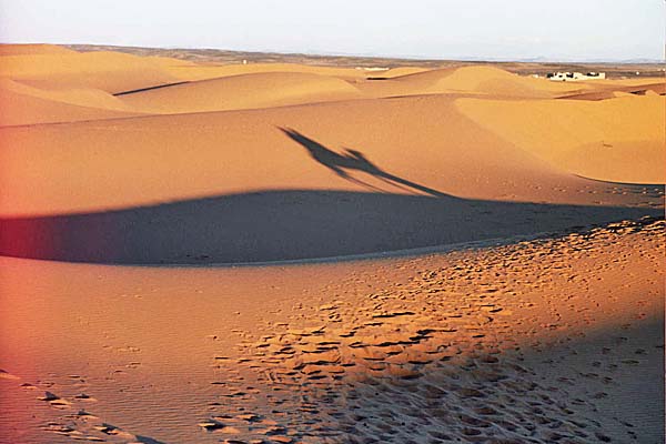 Marocco262.jpg - L'alba nel deserto sull'Erg Chebbi