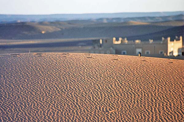 Marocco263.jpg - L'alba nel deserto sull'Erg Chebbi