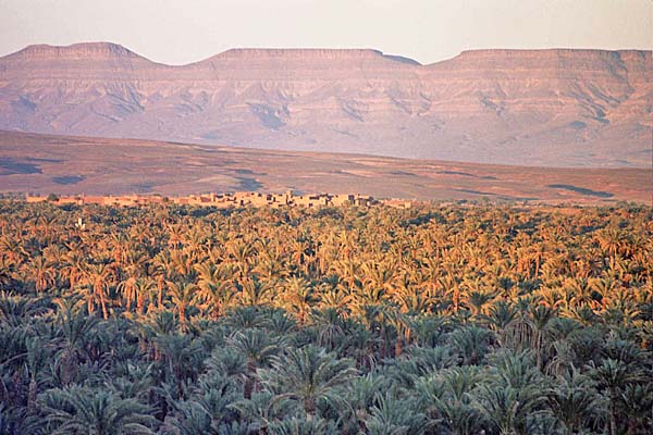 Marocco268.jpg - Paesaggi nella valle