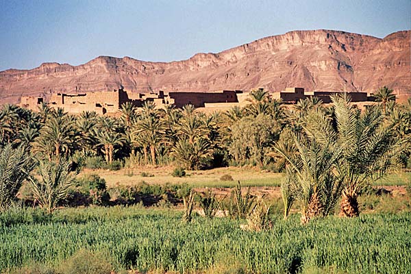 Marocco269.jpg - Paesaggi nella valle