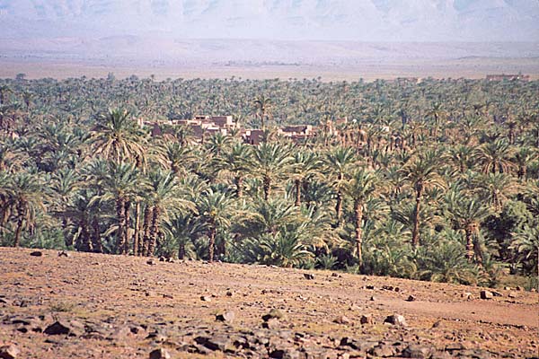 Marocco275.jpg - Paesaggi nella valle