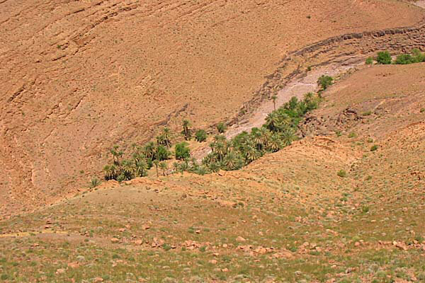 Marocco284.JPG - Paesaggi nella valle