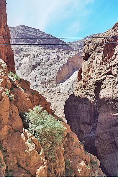 Marocco335.jpg - Gole del Todra