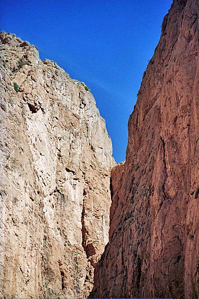 Marocco337.jpg - Gole del Todra