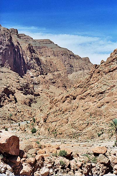 Marocco338.jpg - Gole del Todra