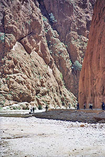 Marocco340.jpg - Gole del Todra