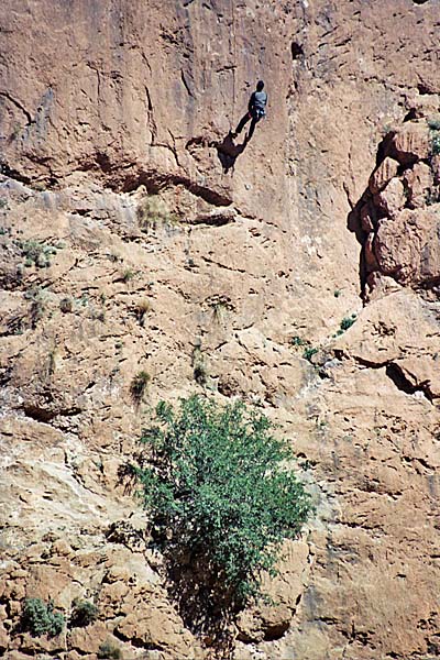 Marocco341.jpg - Gole del Todra