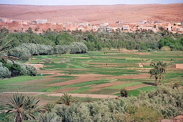 Marocco351.jpg - Paesaggi nella valle