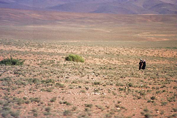 Marocco352.jpg - Paesaggi nella valle