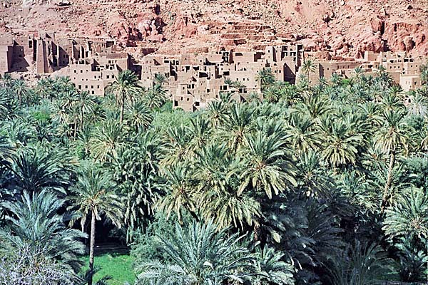 Marocco356.jpg - Paesaggi nella valle