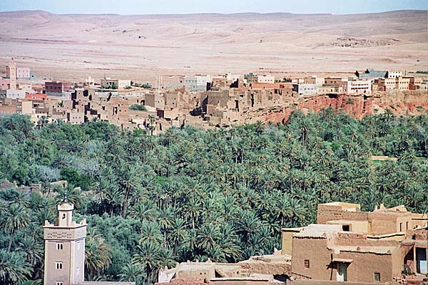 Marocco357.jpg - Paesaggi nella valle