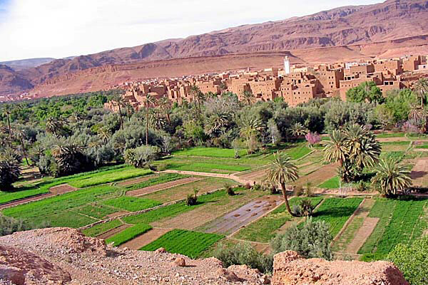 Marocco362.jpg - Paesaggi nella valle