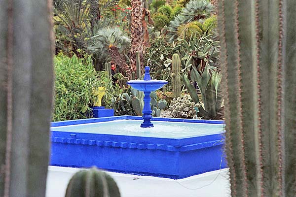 Marocco416.jpg - Jardin Majorelle