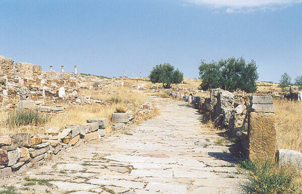 Tunisia029.JPG - Thuburbo Majus - Antica strada