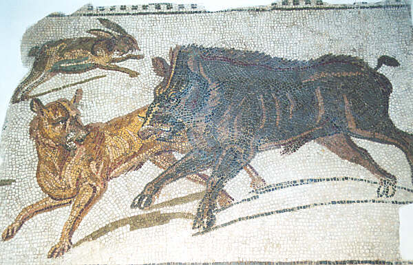 Tunisia052.JPG - Tunisi - Museo del Bardo - Mosaico che raffigura la caccia al cinghiale