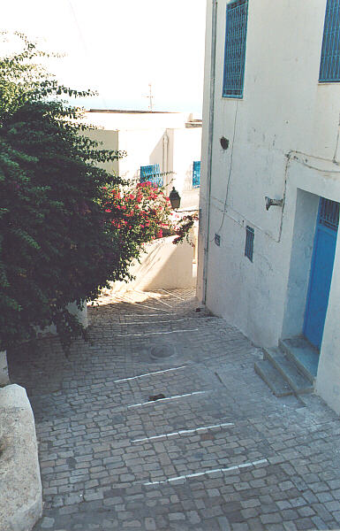 Tunisia062.JPG - Sidi Bou Said