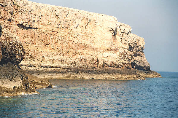 creta152.jpg - La costa della penisola dove si puo vedere il fenomeno geologico, avvenuto quasi 2000 anni fa, che determinò l'innalzamento della piattaforma dove poggia l'isola di Creta nella parte ovest, da 6 a 9 metri s.l.m., con il relativo sprofondamento della parte est verso la Turchia. 