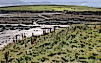 Brough of Birsay - West Mainland - Orkney, seleziona per ingrandire