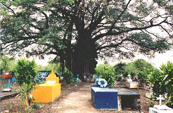 Guatemala070.JPG - Il cimitero