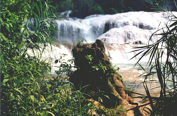 Mexico075.JPG - Le cascate di Agua Azul