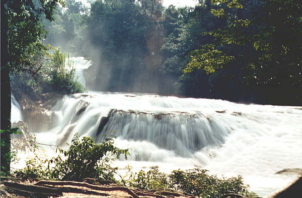 Mexico076.JPG - Le cascate di Agua Azul