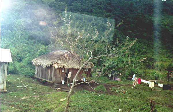 Mexico098.JPG - La selva dei Lacandona